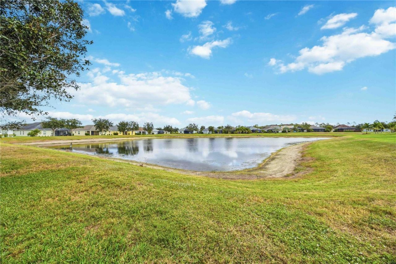 16870 Rosedown Glen, Parrish, FL 34219 Photo