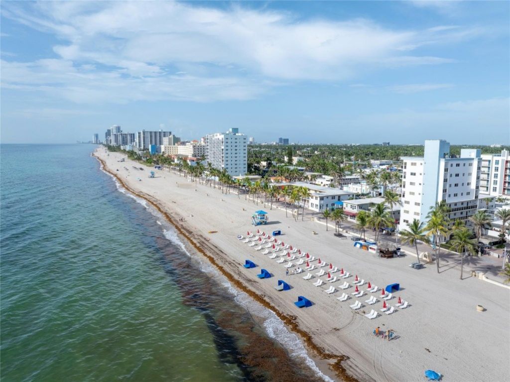 777 N Ocean Drive, Unit N533, Hollywood, FL 33019 Photo