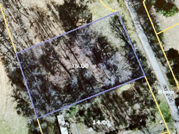 Carey Rd, Speedwell, TN 37870