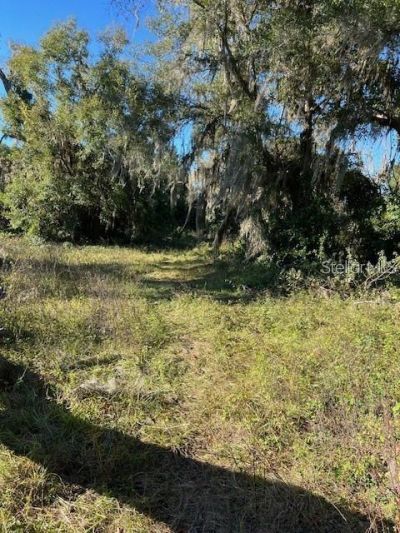 702 S Marion Ave, Lake City, FL 32055 Photo