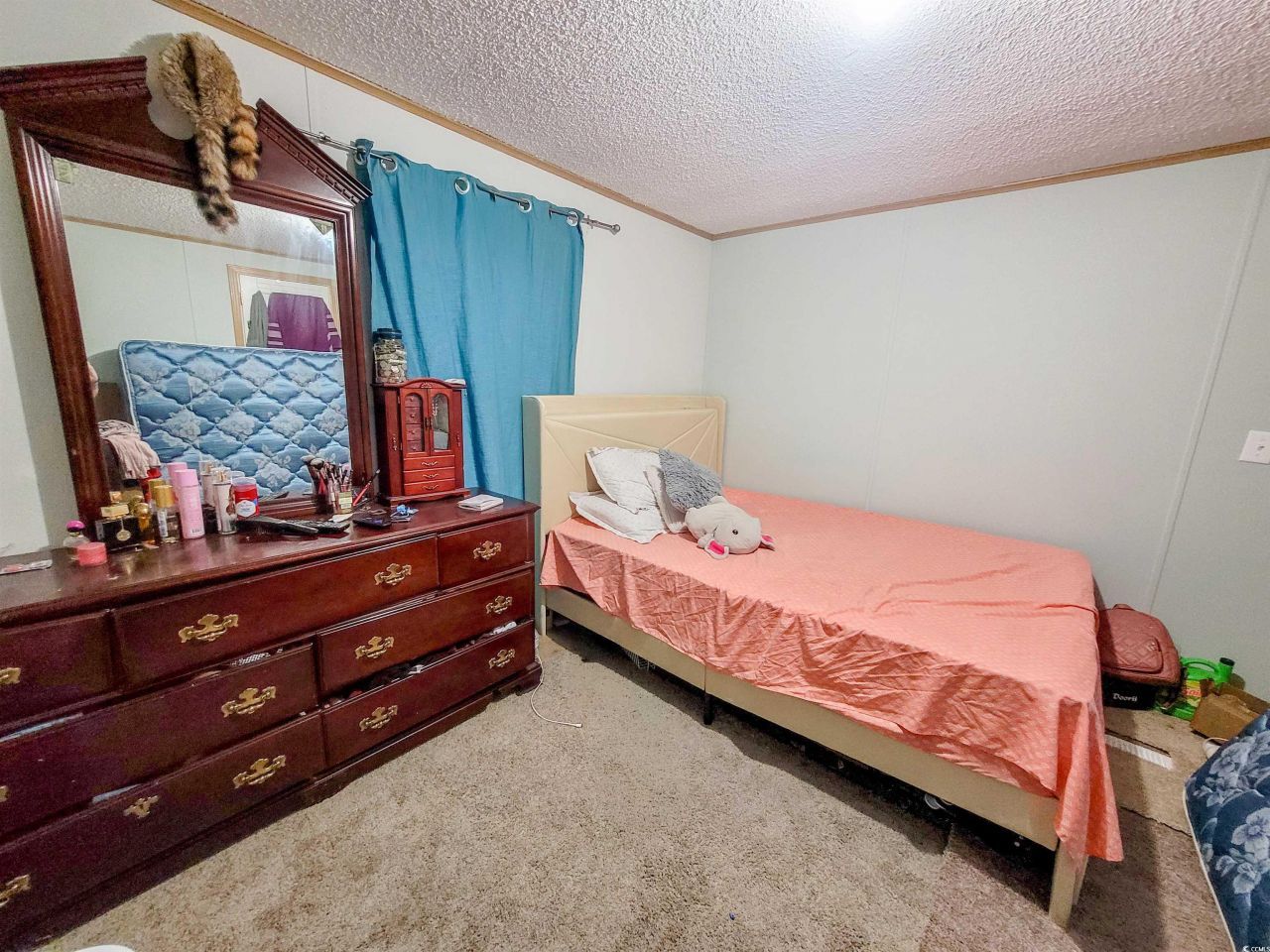 117 Ranchette Circle Photo 8