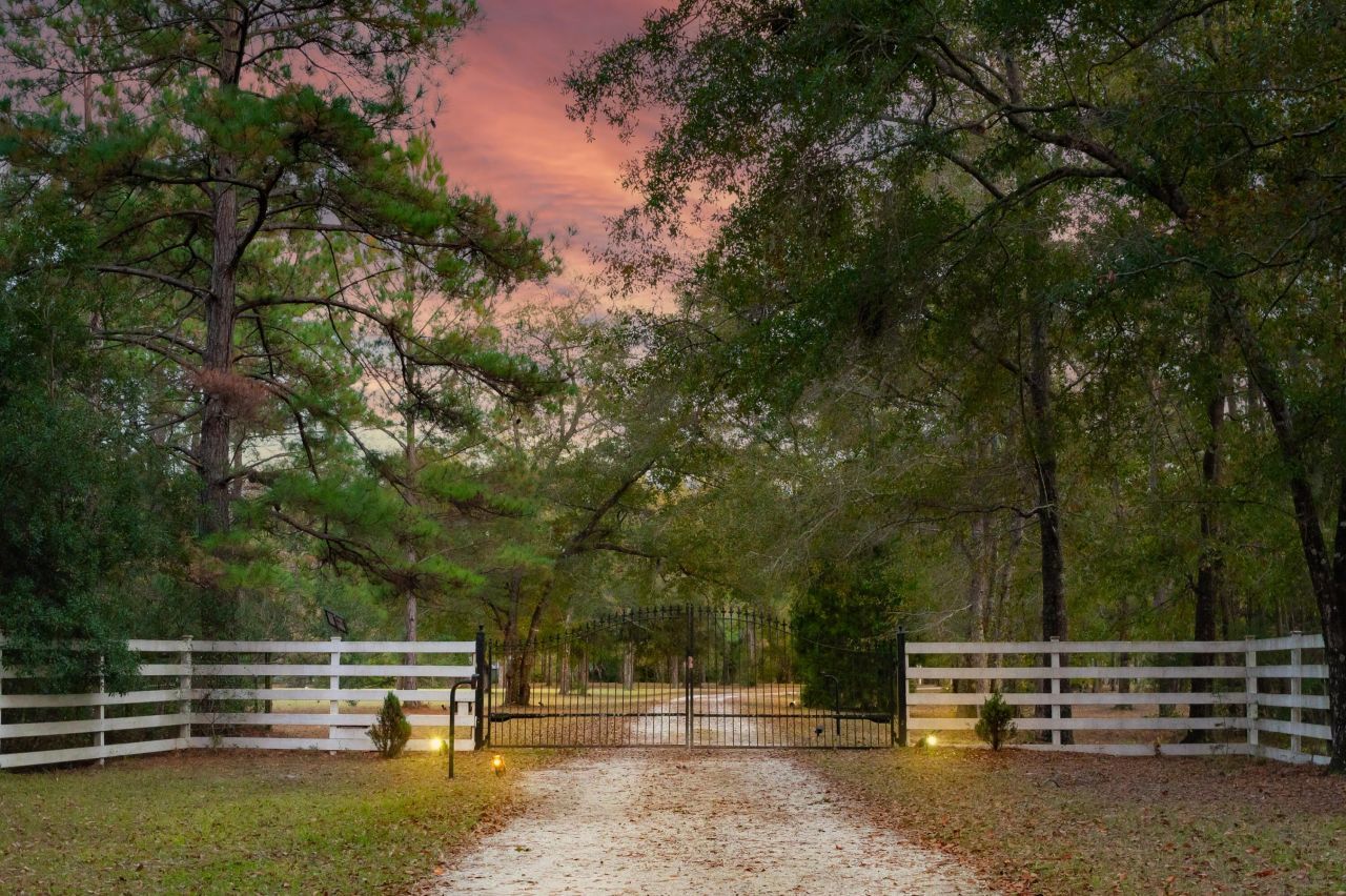 6615 Old Jacksonboro Road Photo 40