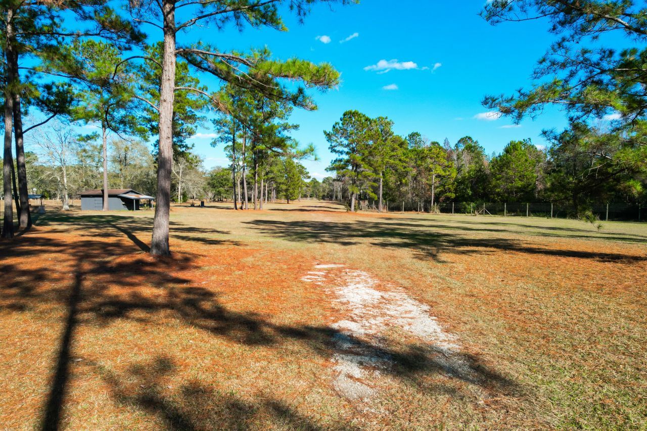 6615 Old Jacksonboro Road Photo 57