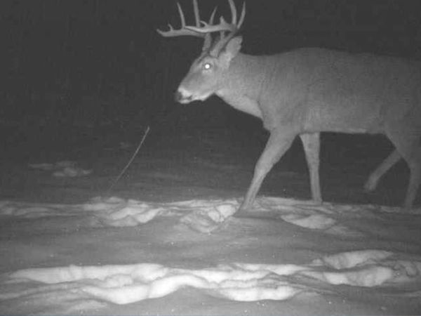 27262 151st Avenue, Bagley, MN 56621