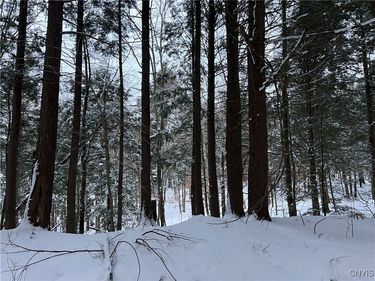 Center Street, Constantia, NY 13042