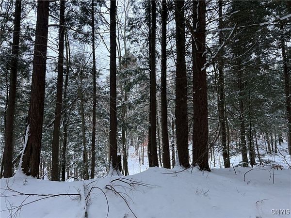 Center Street, Constantia, NY 13042