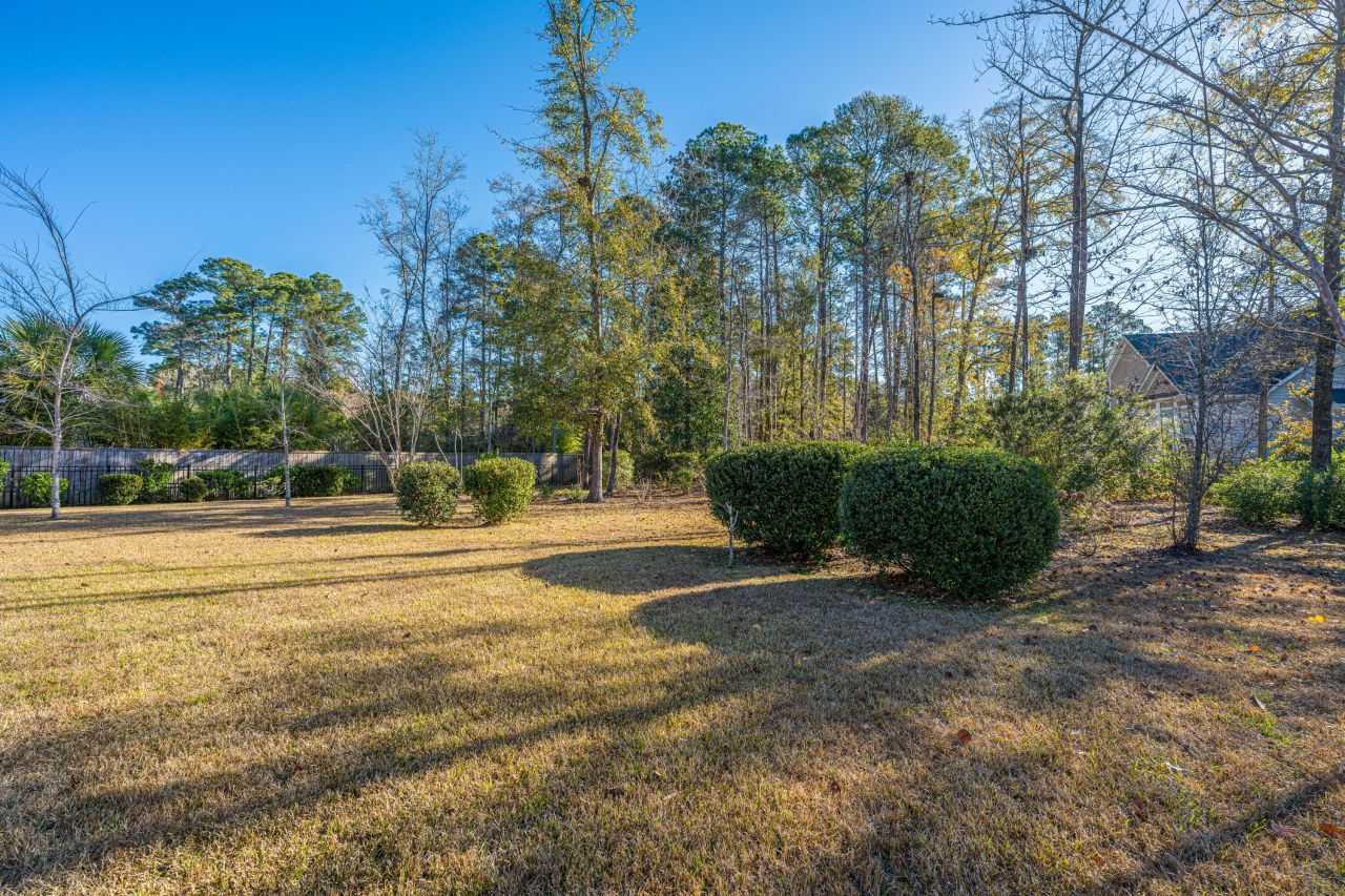 1007 Mt Whitney Drive Photo 28