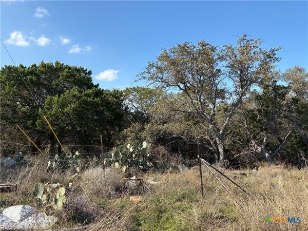 0 Lakeview Drive, Burnet, TX 78611