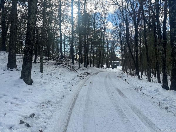 Cedar Drive, Elizaville, NY 12523