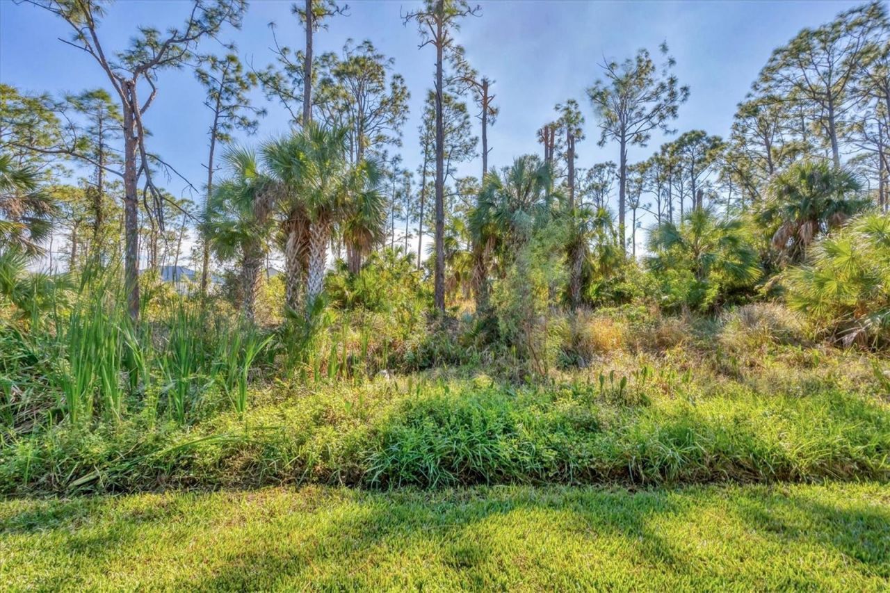 17 Par View Place, Rotonda West, FL 33947 Photo