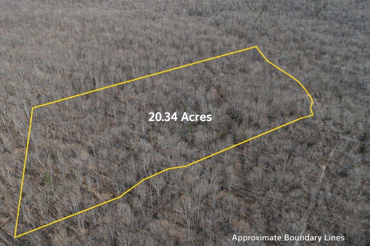 0 Pigpen Hollow Rd, Waynesboro, TN 38485 Main Photo