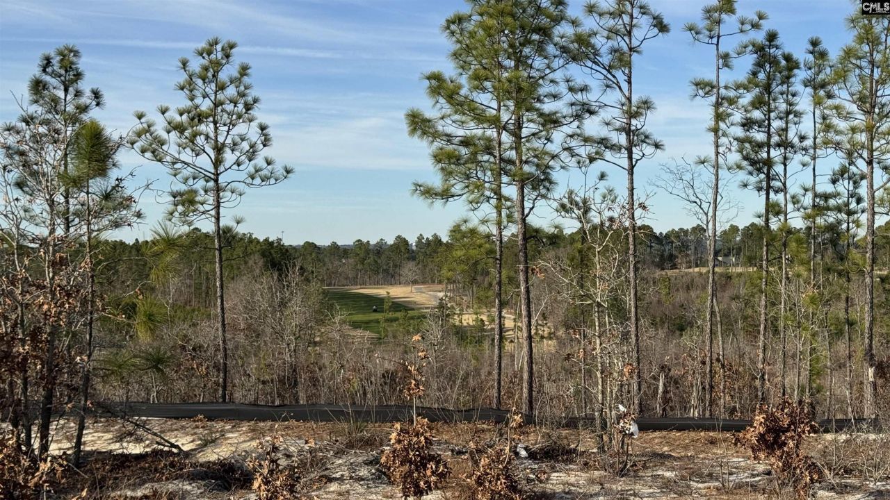 629 Silica Court Photo 7