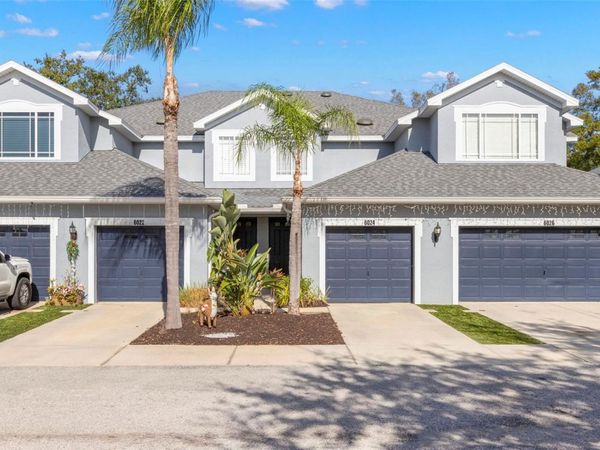 6024 PARKSIDE MEADOW DRIVE, TAMPA, FL 33625