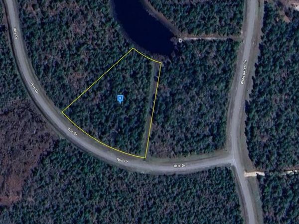 126 IBIS DRIVE, WEWAHITCHKA, FL 32465