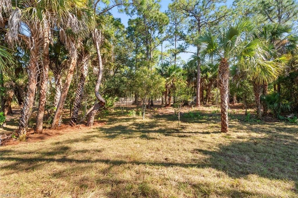 802 North Ave, Lehigh Acres, FL 33972 Photo