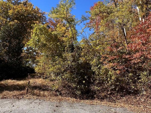 000 Cascada Vista Drive , Chimney Rock, NC 28720