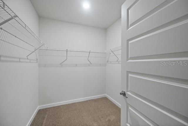 3703 Hatchery Way, Lakewood Ranch, FL 34211 Photo