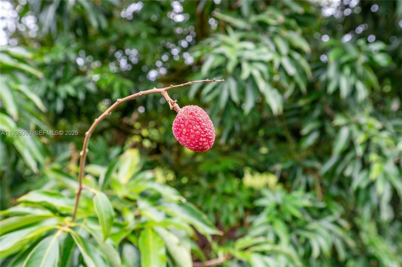 24350 SW 182nd Ave, Miami, FL 33031 Photo