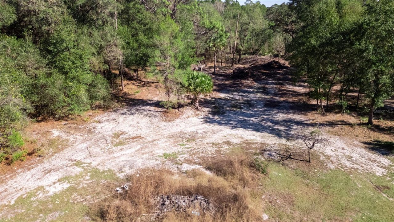 815 NE 145th Avenue Road, Silver Springs, FL 34488 Photo