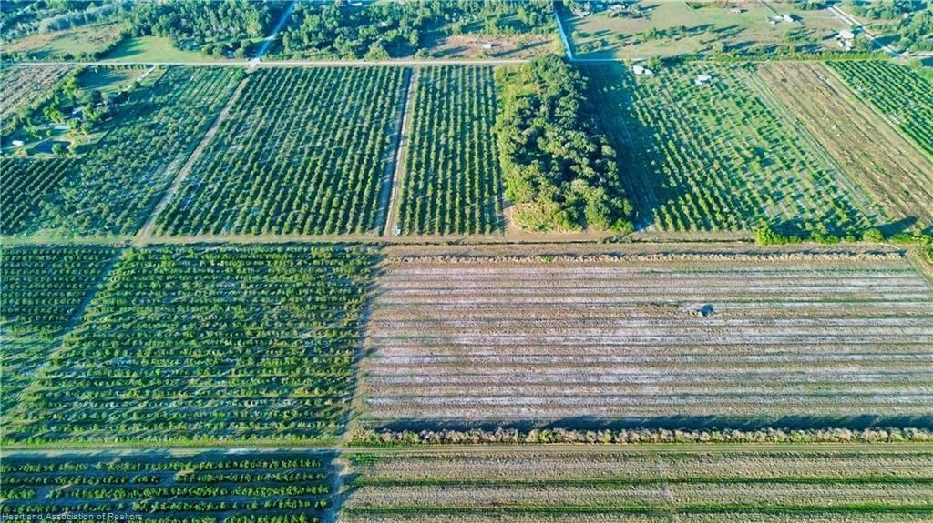 1050 Arbuckle Creek Rd, Lorida, FL 33857 Photo