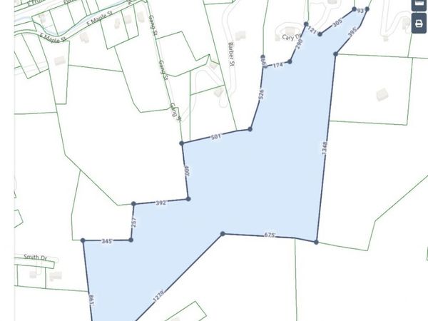 0 Cary Dr, Erin, TN 37061