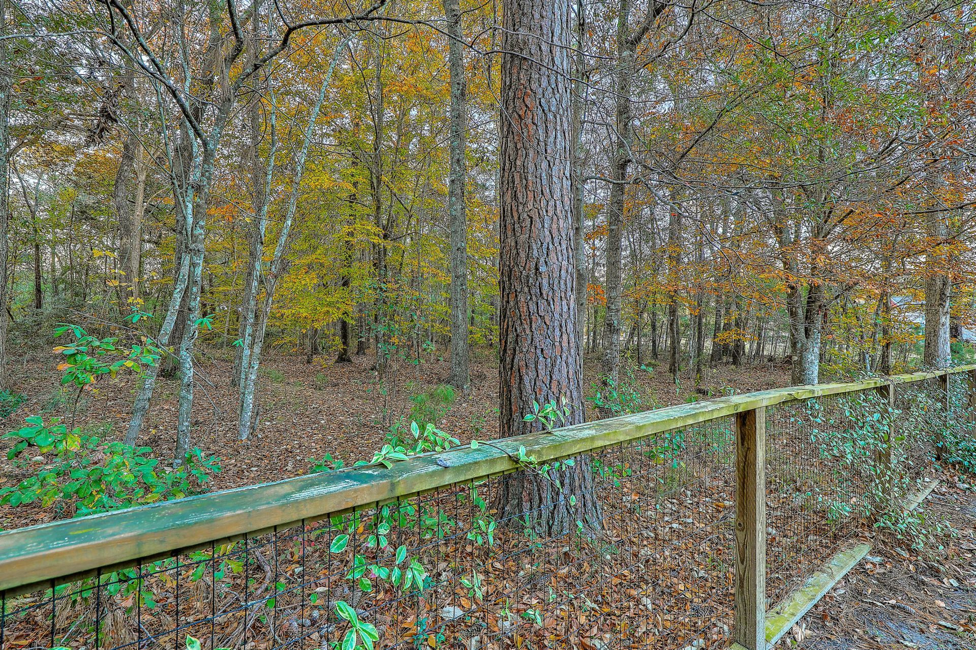 1109 Rearick Road Photo 43