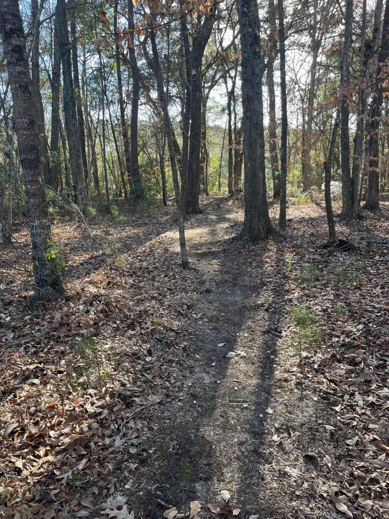 1109 Rearick Road Photo 50