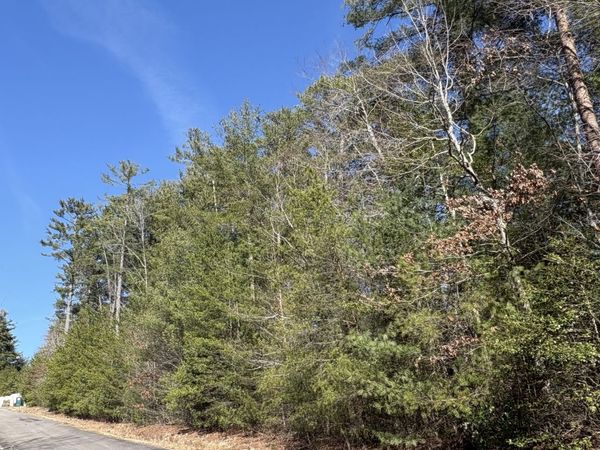 0 Uplander Court, Rabun Gap, GA 30568
