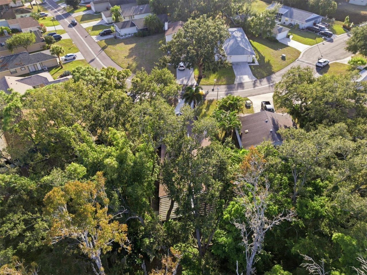 331 Bearded Oaks Circle, Sarasota, FL 34232 Photo