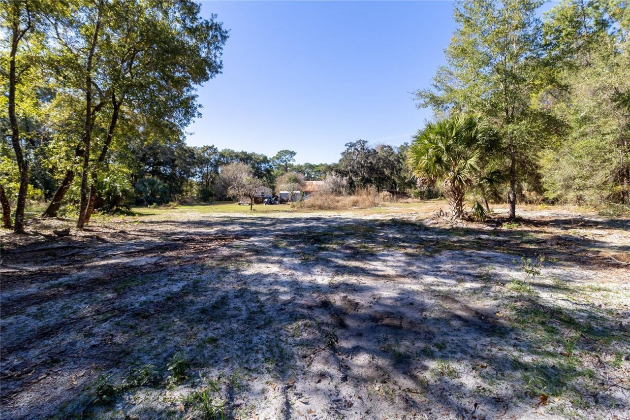 815 NE 145th Avenue Road, Silver Springs, FL 34488 Photo