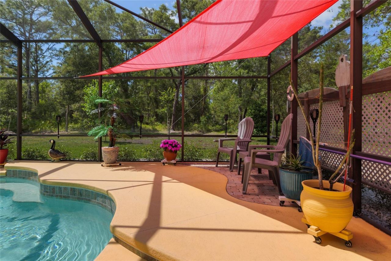 49 Cactus, Homosassa, FL 34446 Photo