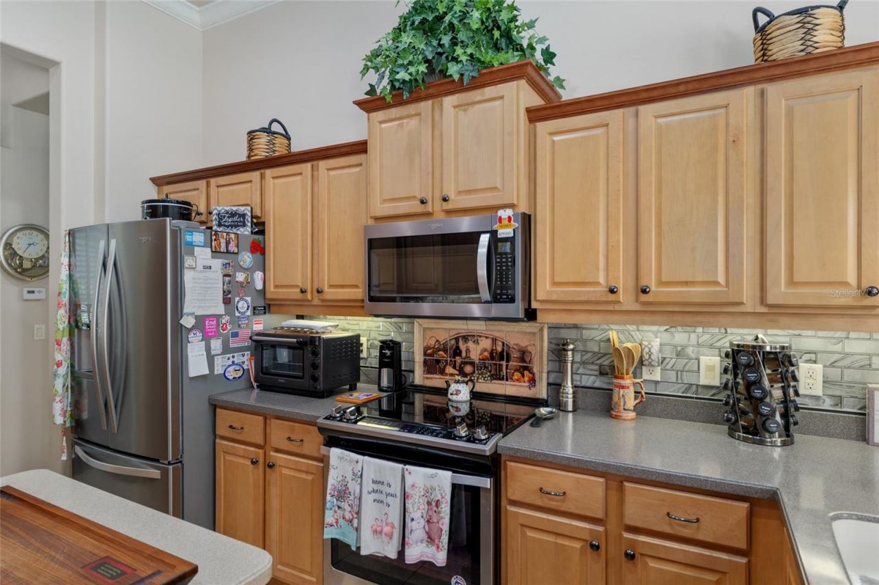 49 Cactus, Homosassa, FL 34446 Photo