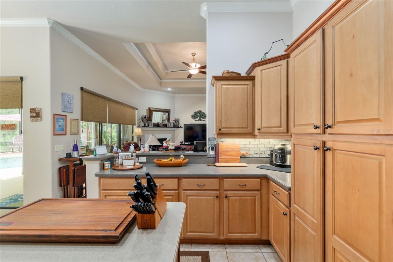 49 Cactus, Homosassa, FL 34446 Photo