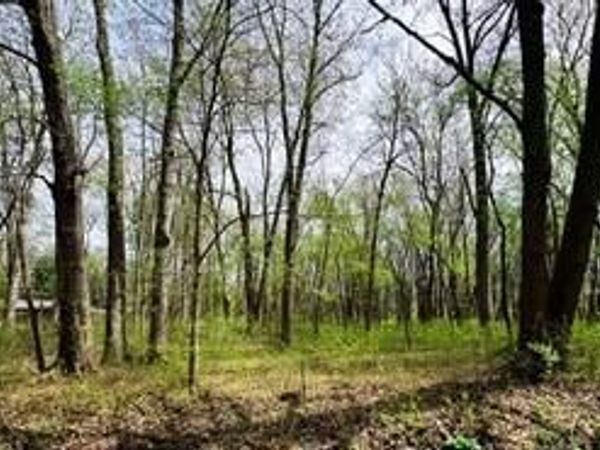 6046 Roan Road, Sylvania, OH 43560