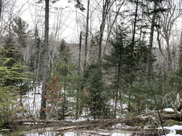 LOT# Trafton Road, Unit LOT#, Harmony, ME 04942