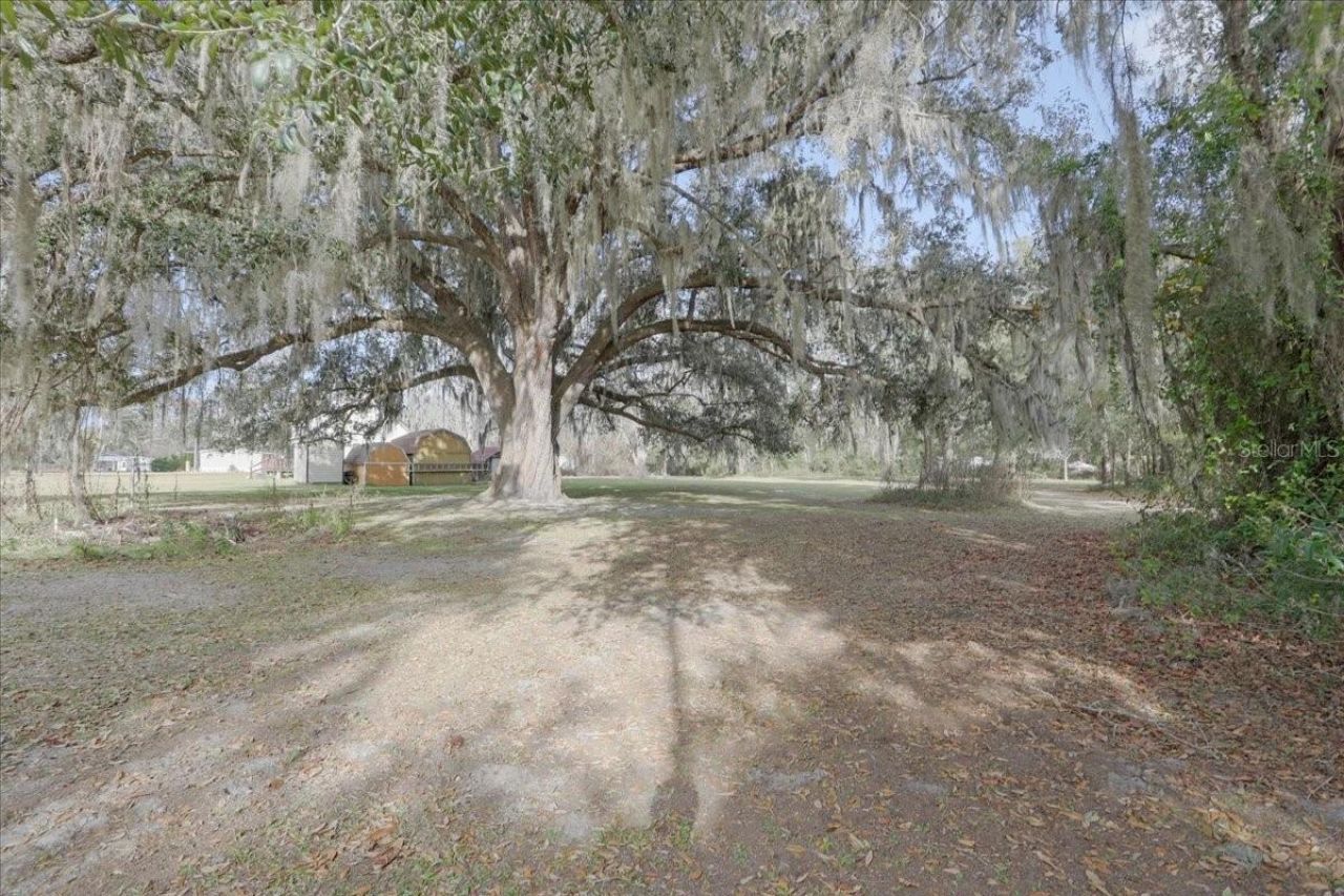 5336 SW County Road 791, Lake Butler, FL 32054 Photo