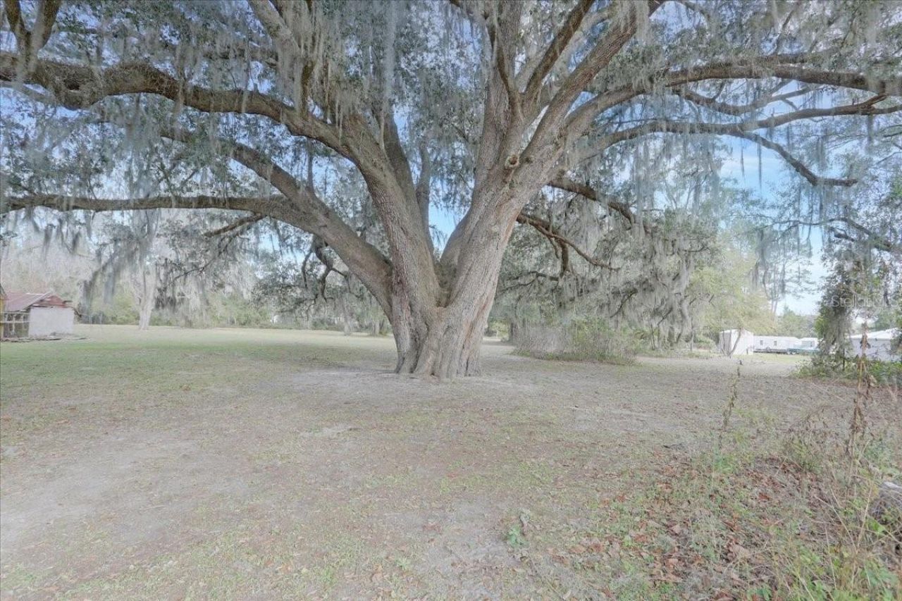 5336 SW County Road 791, Lake Butler, FL 32054 Photo