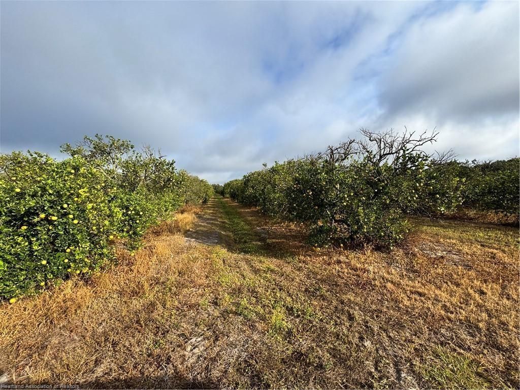 2205 Hicks Rd, Lorida, FL 33857 Photo