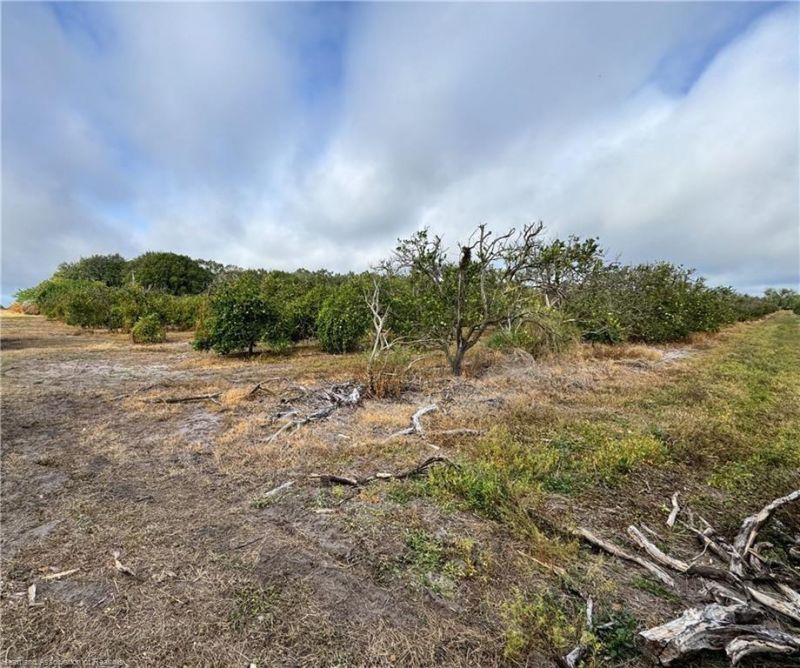 2205 Hicks Rd, Lorida, FL 33857 Photo