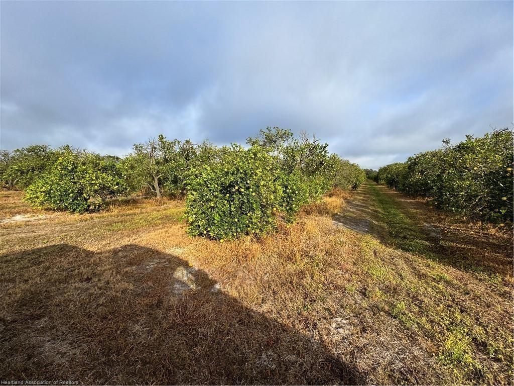 2205 Hicks Rd, Lorida, FL 33857 Photo