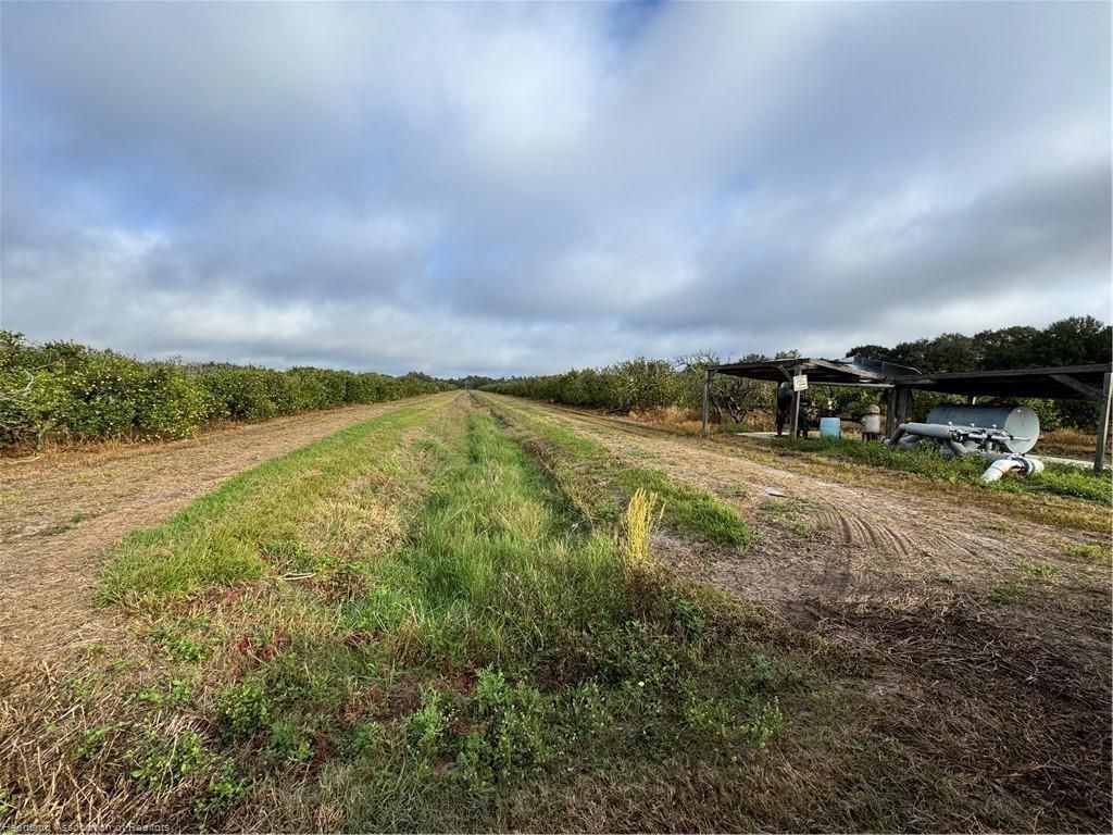 2205 Hicks Rd, Lorida, FL 33857 Photo