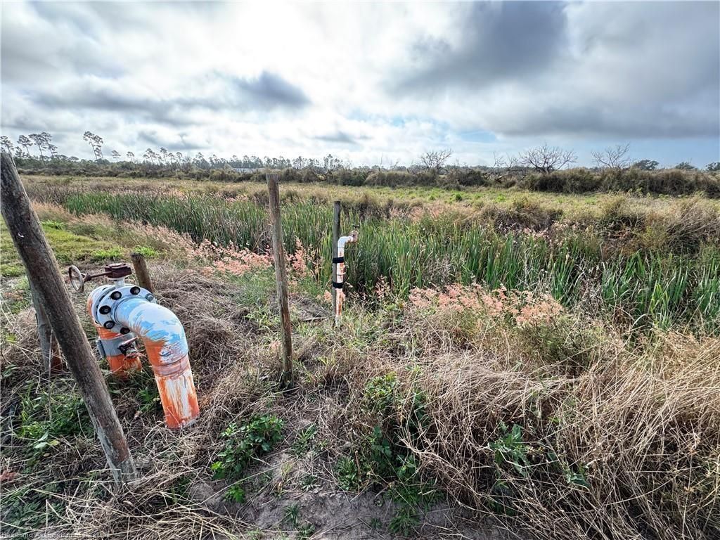 2205 Hicks Rd, Lorida, FL 33857 Photo