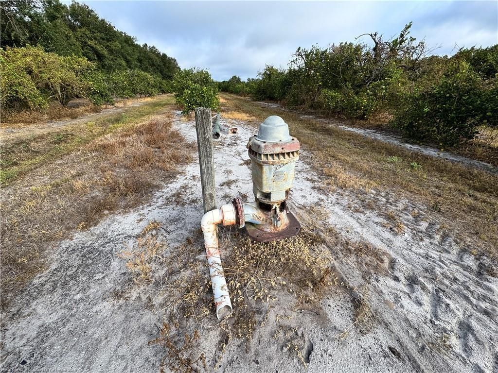 2205 Hicks Rd, Lorida, FL 33857 Photo