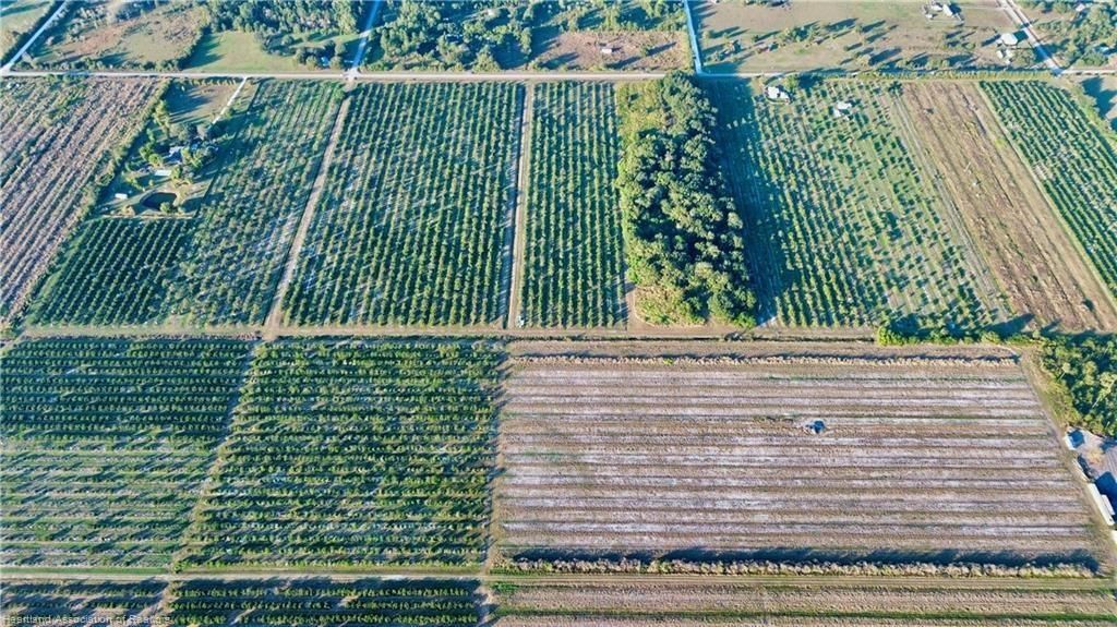 2205 Hicks Rd, Lorida, FL 33857 Photo