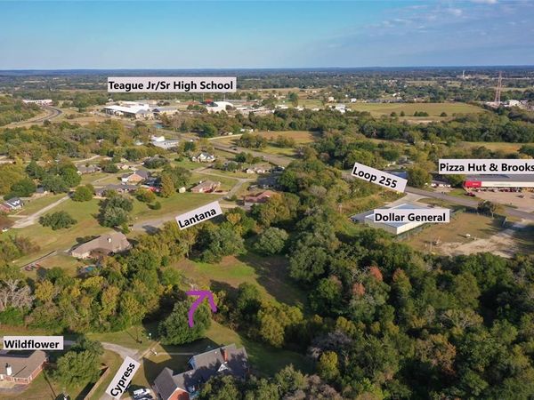 103 Wildflower Lane , Teague, TX 75860