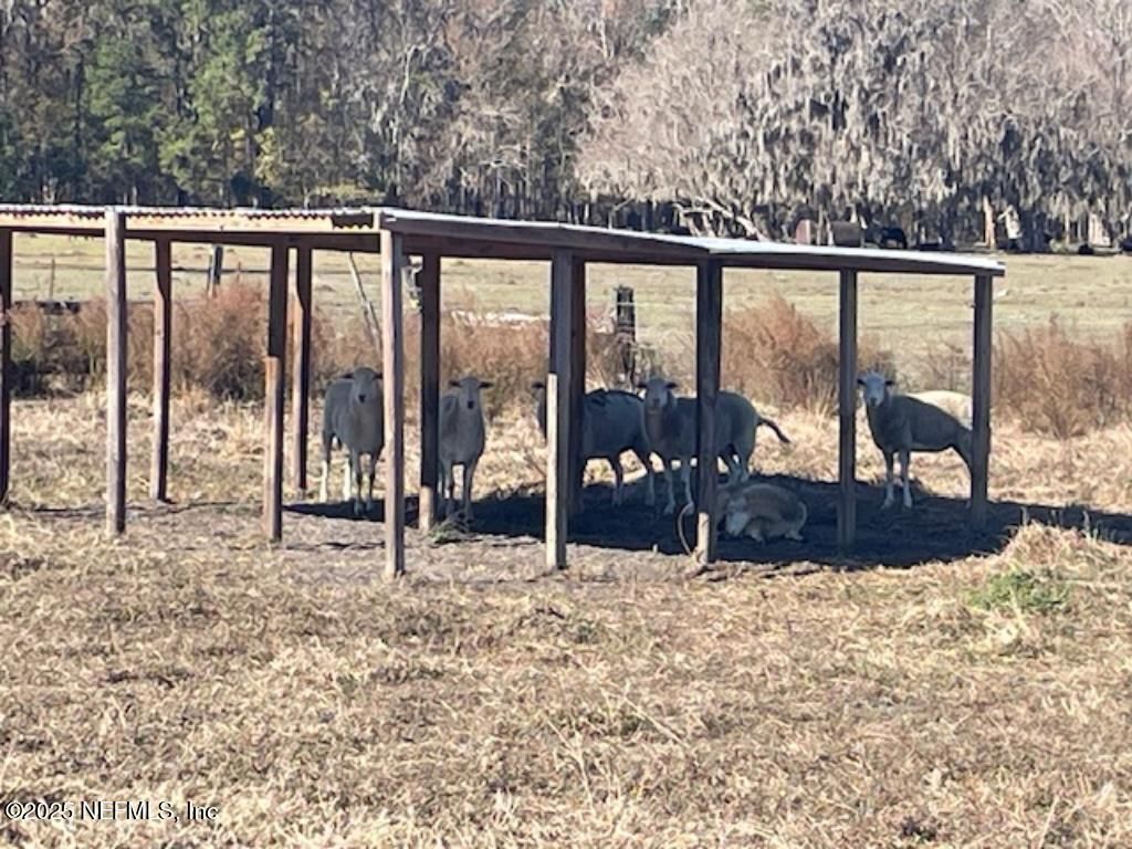 14014 Lem Turner Road, Jacksonville, FL 32218 Photo