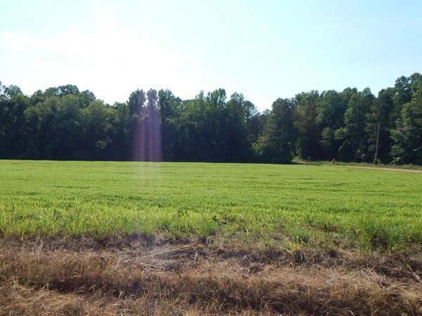 515 County Road 247 Country Road, Bruce, MS 38915