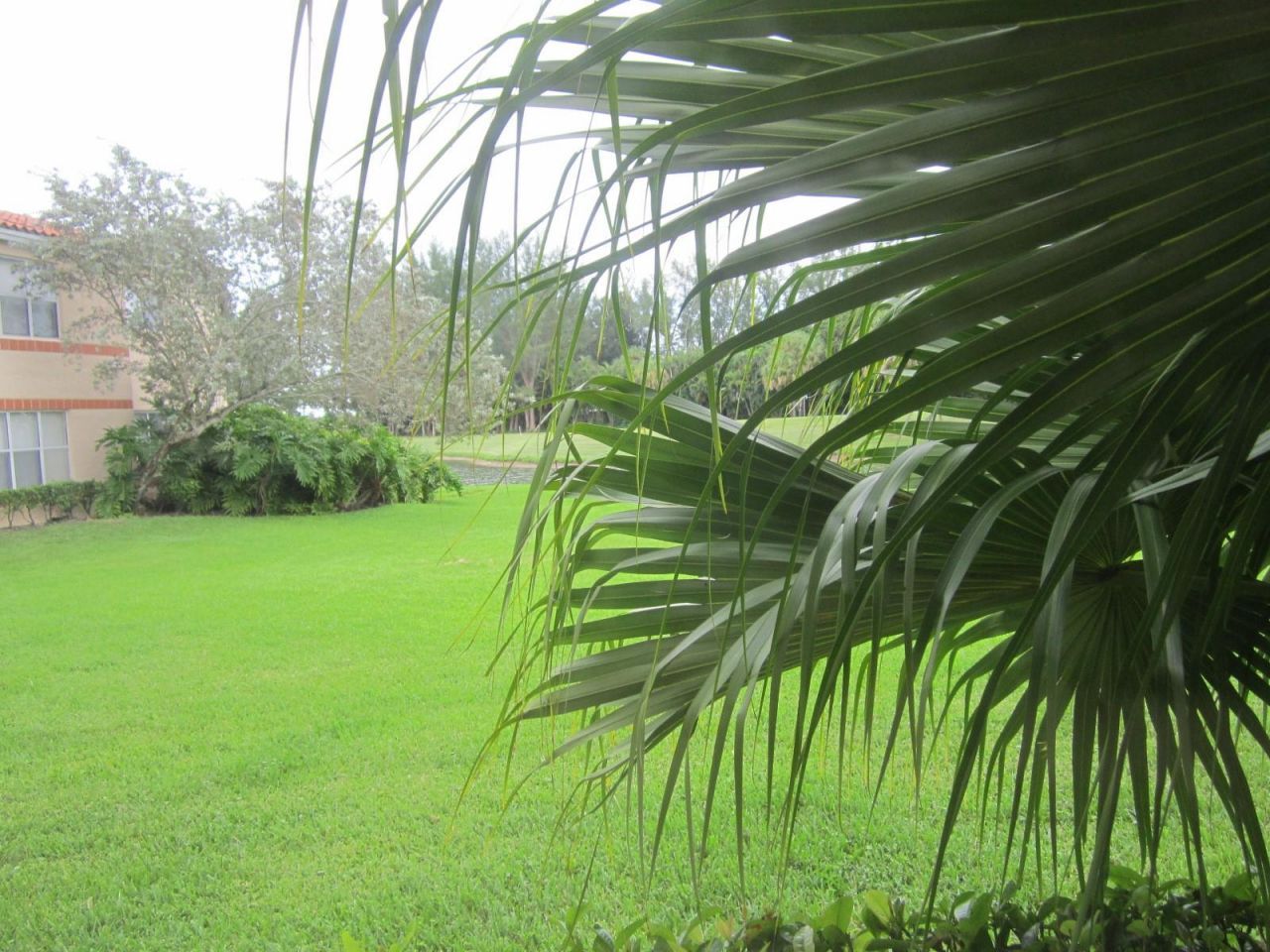 3310 Pinewalk Drive, Unit 1812, Margate, FL 33063 Photo