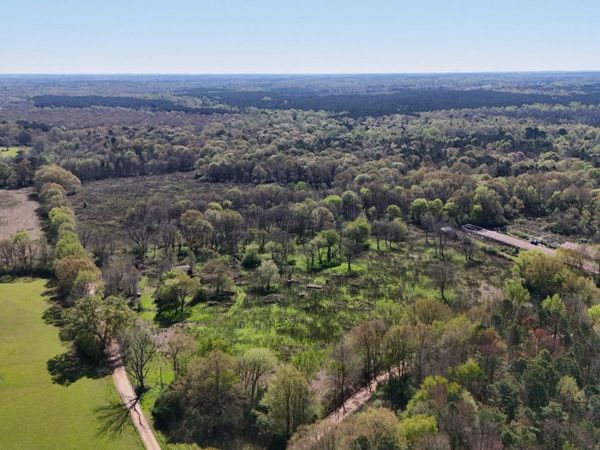 Thrash Road, Conehatta, MS 39057