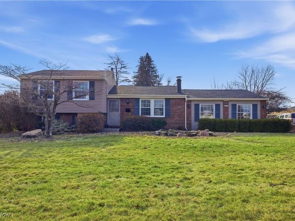 541 Blossom Avenue, Campbell, OH 44405